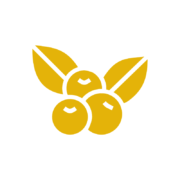Spirituosen-Kategorie Gin Icon