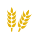 Spirituosen-Kategorie Whisky Icon