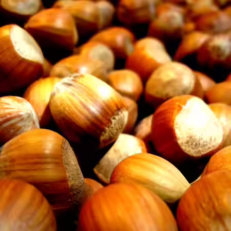 Haselnuss Schnaps Kategorie Visual